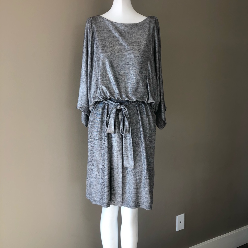 Sandra Darren Silver Dress - Size 8